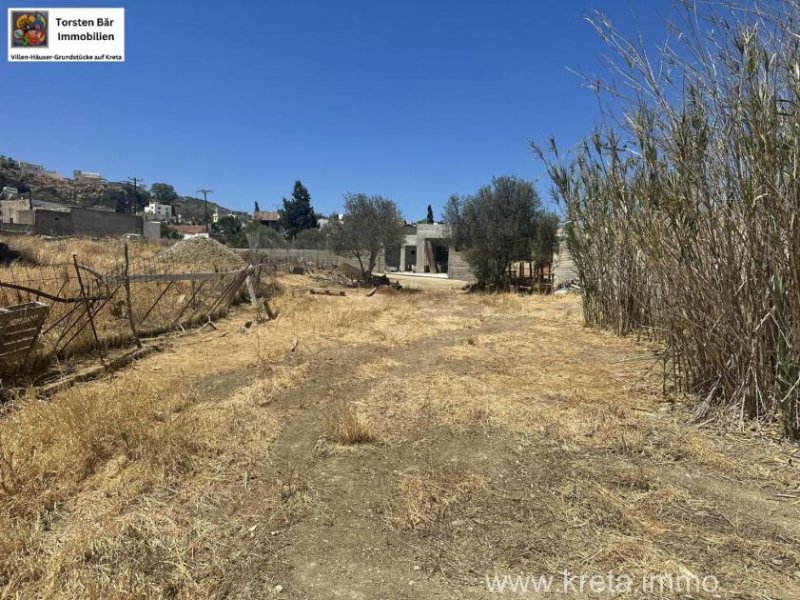 Pitsidia (Komos) Kreta Pitsidia Baugrundstück in dem beliebten Dorf Pitsidia zu verkaufen Grundstück kaufen